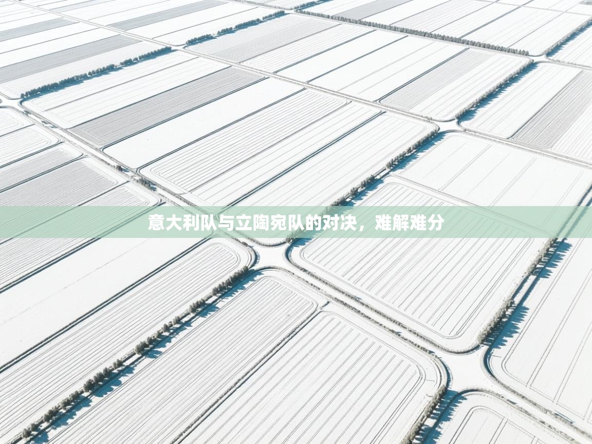 意大利队与立陶宛队的对决,难解难分 第1张