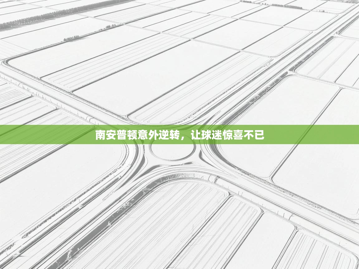 南安普顿意外逆转，让球迷惊喜不已  第2张