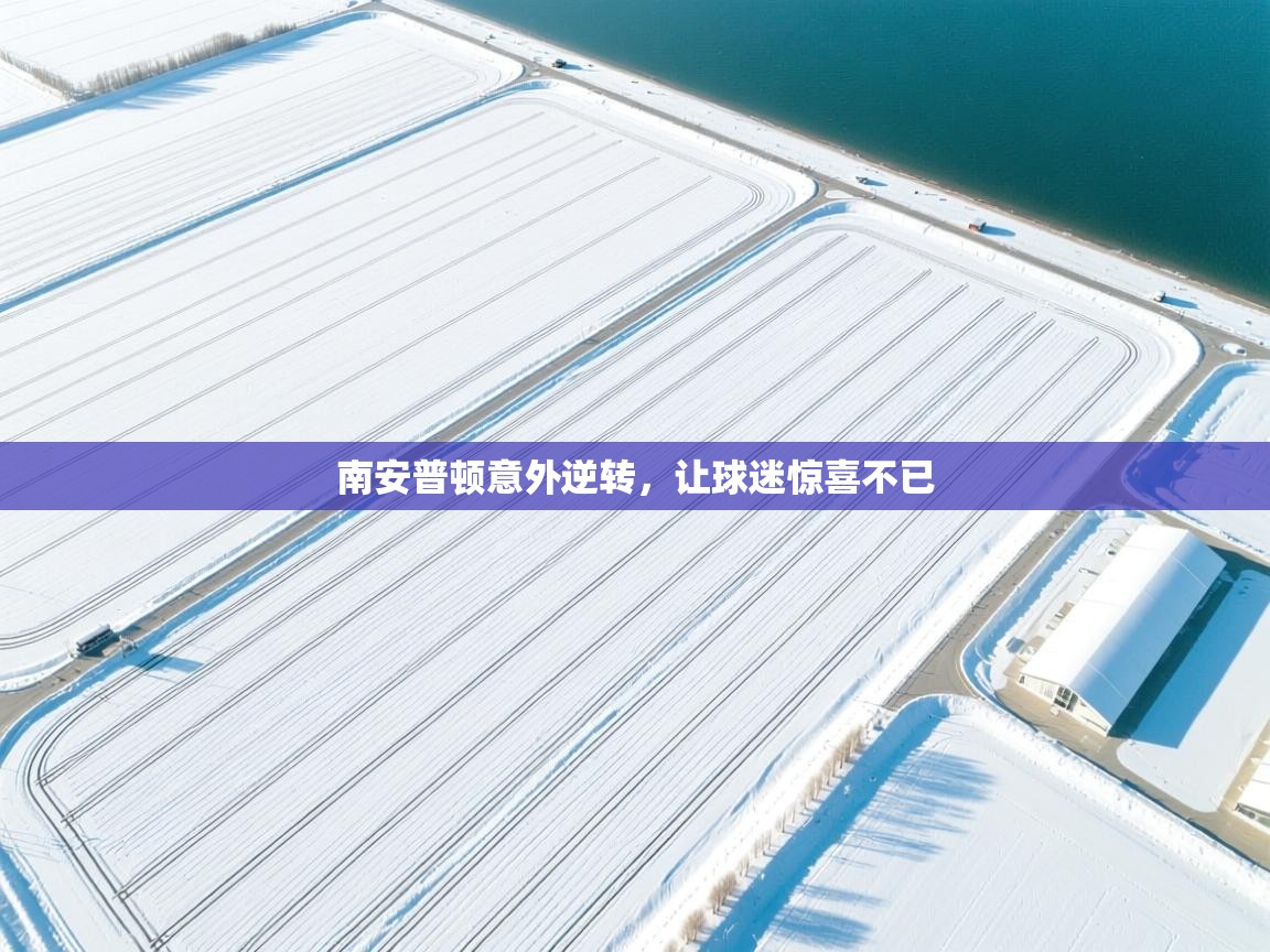 南安普顿意外逆转，让球迷惊喜不已  第1张