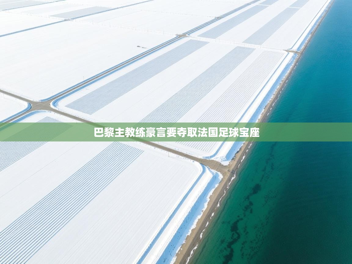 巴黎主教练豪言要夺取法国足球宝座