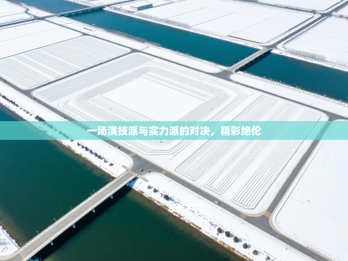 一场演技派与实力派的对决，精彩绝伦  第2张