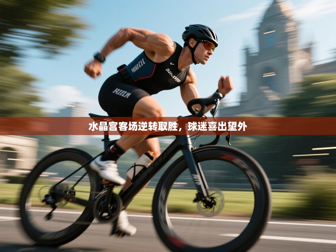 水晶宫客场逆转取胜，球迷喜出望外  第1张